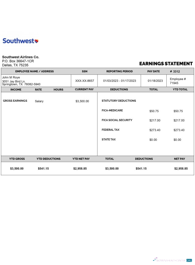 Download SOUTHWEST AIRLINES CO earnings statement in PDf and Word formats Photoshop template